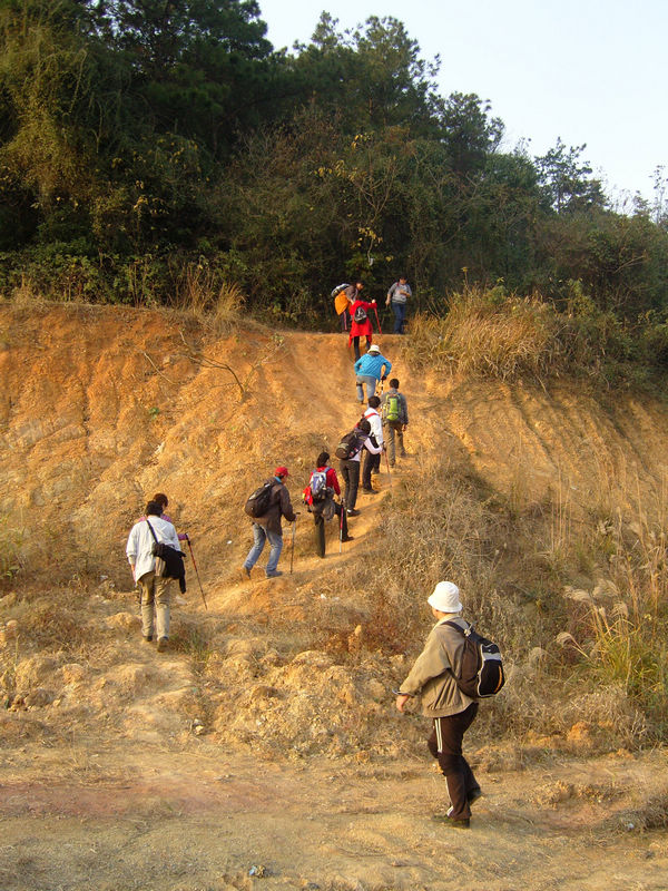snc10131.jpg