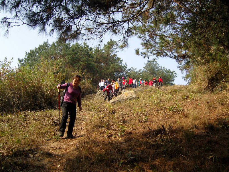 snc10039.jpg
