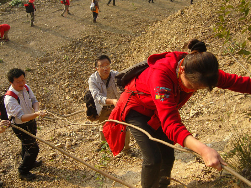 snc10115.jpg
