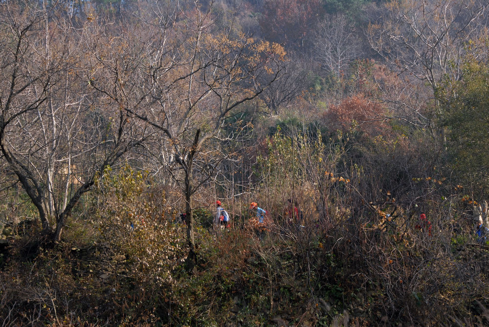 dsc_0006.jpg