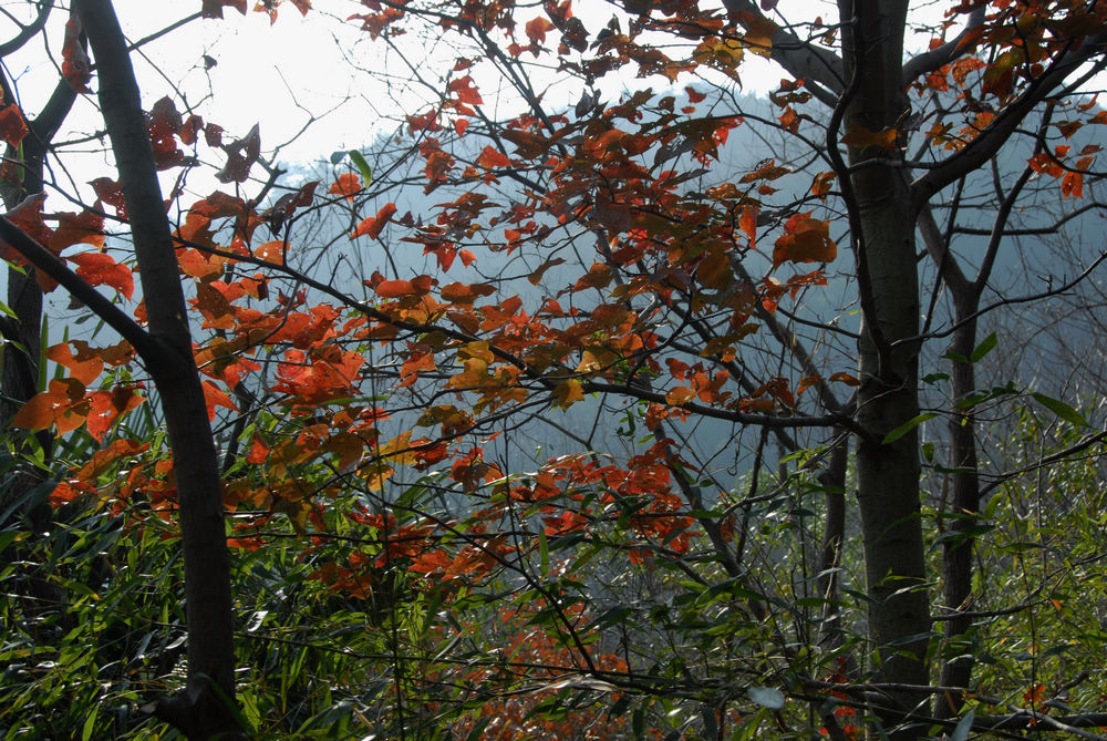 dsc_0012.jpg