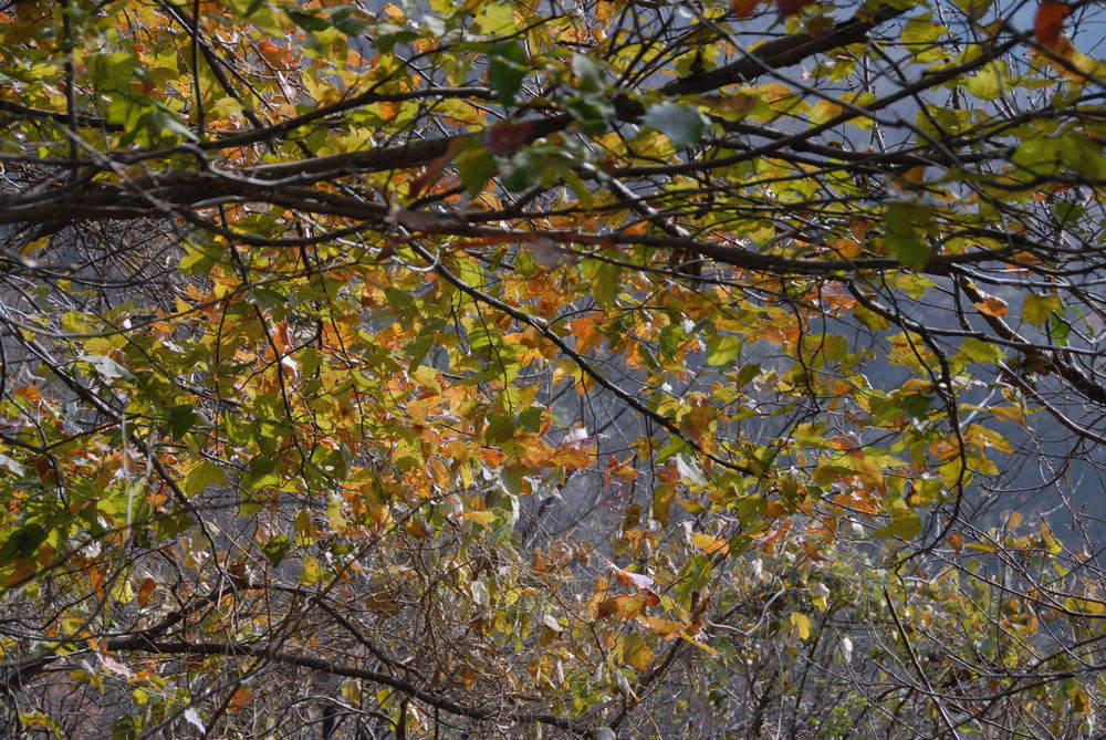 dsc_0022.jpg