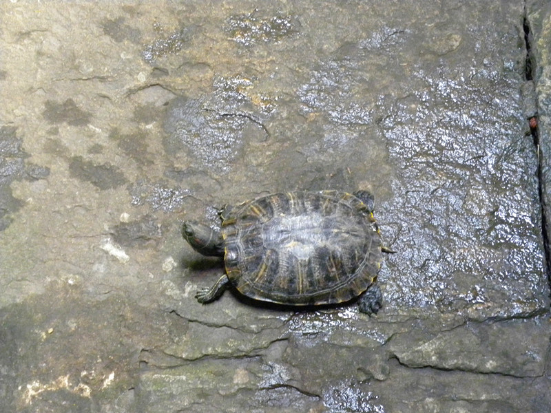 dscn6690_.jpg