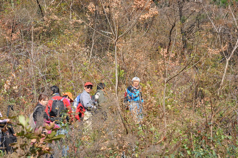 dsc_0392.jpg