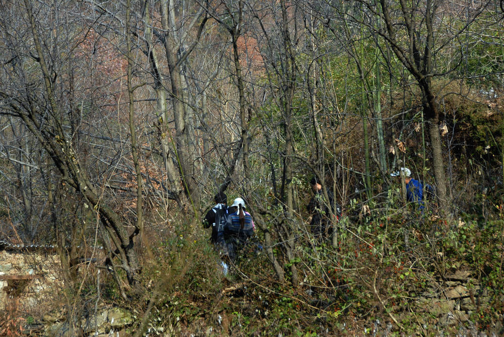 dsc_0008.jpg