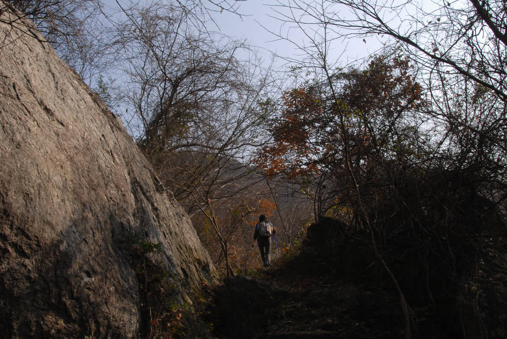 dsc_0031.jpg