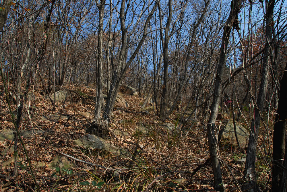dsc_0034.jpg