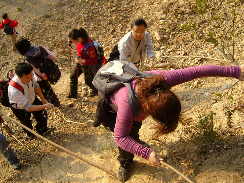  snc10112.jpg