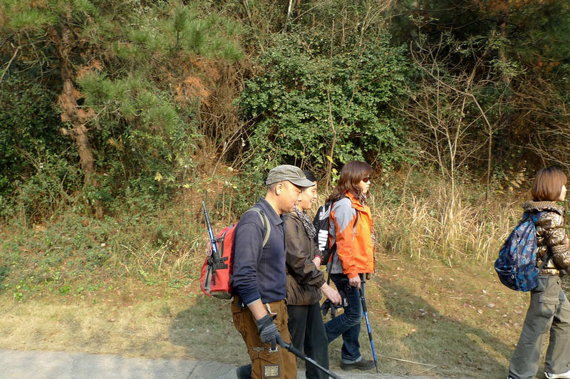 p1050882.jpg
