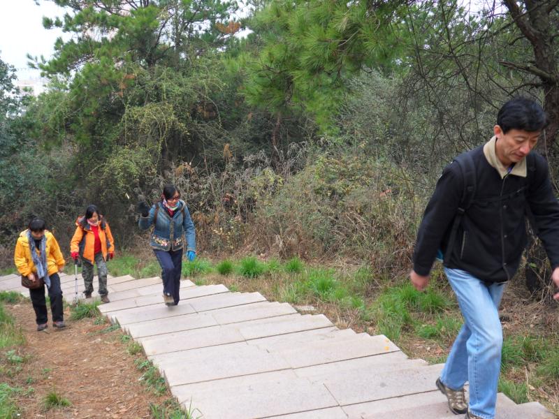sdc10930.jpg
