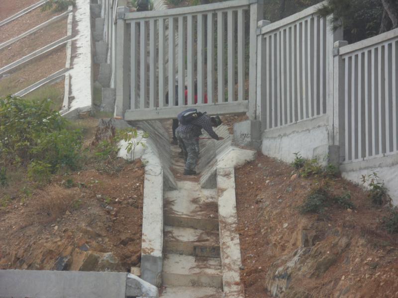 sdc10947.jpg