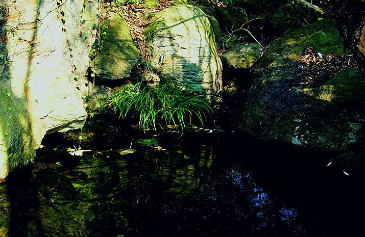 dscn2057_.jpg