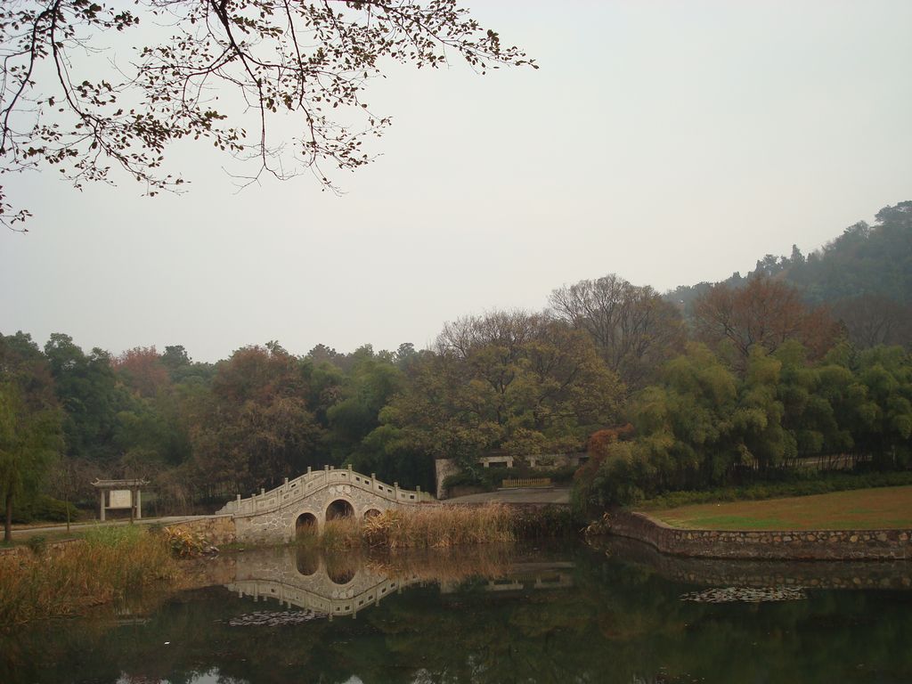dsc00611.jpg