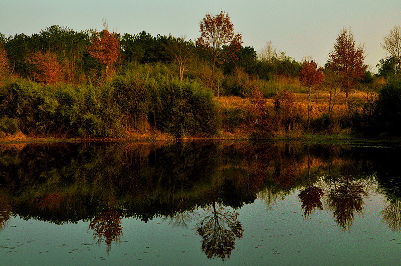 dsc_0228_.jpg