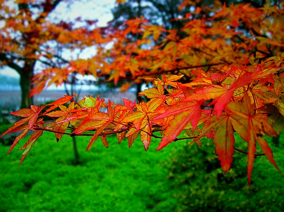 dscn2179_.jpg