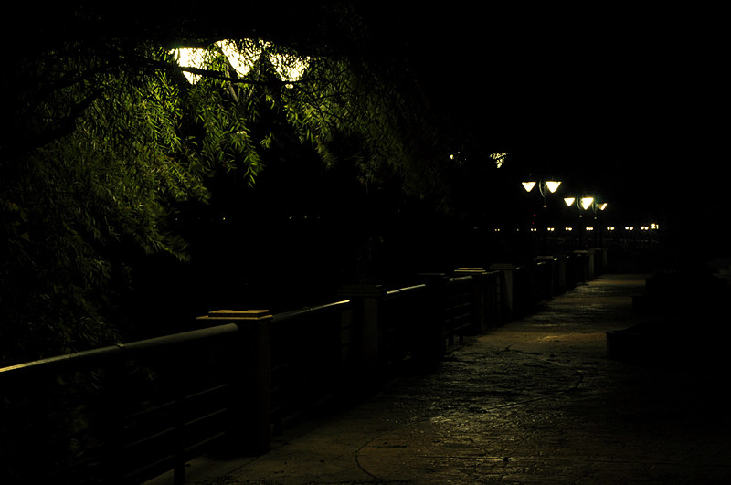 dsc_0020_.jpg