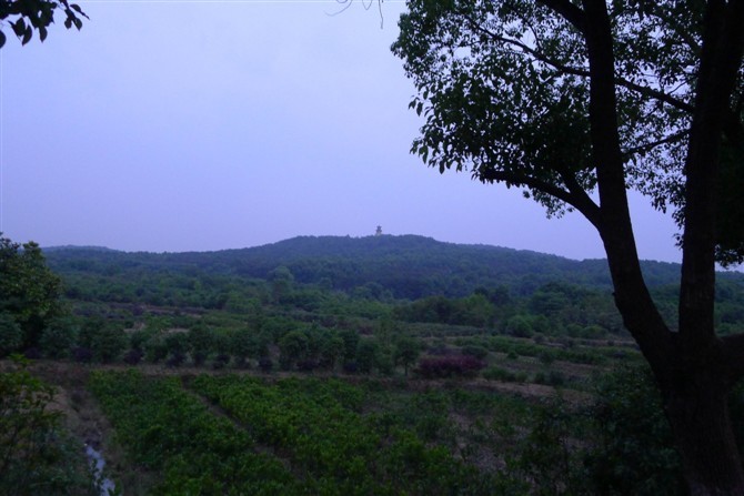 δ211.jpg