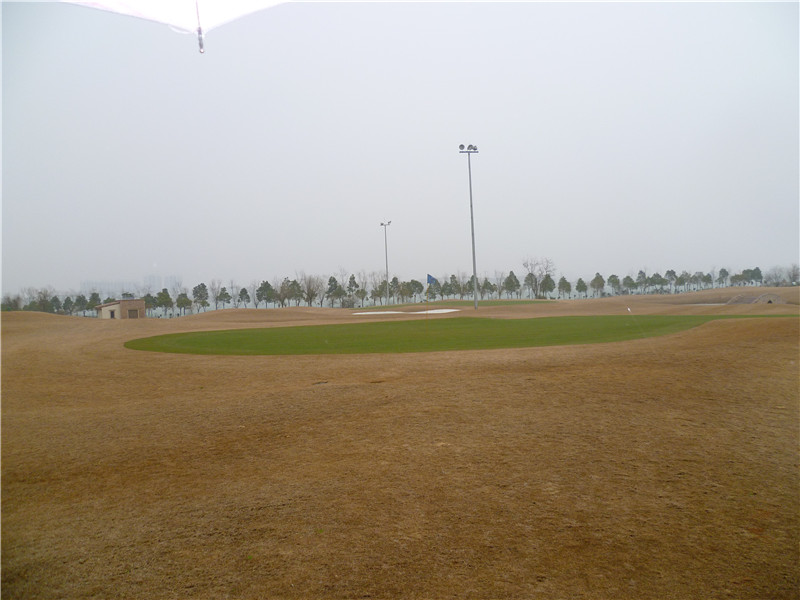 p1000924_.jpg
