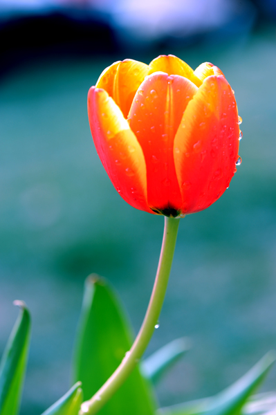 dsc_5188a.jpg