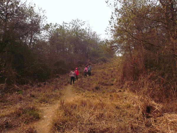 p1060235.jpg