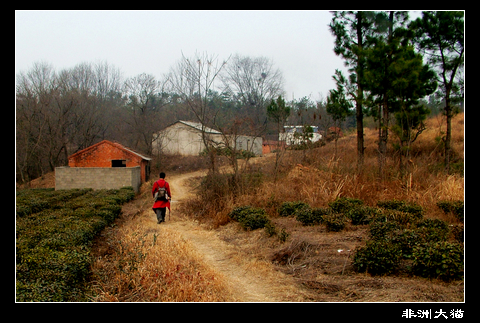 dscf2279.jpg