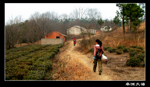 dscf2280.jpg