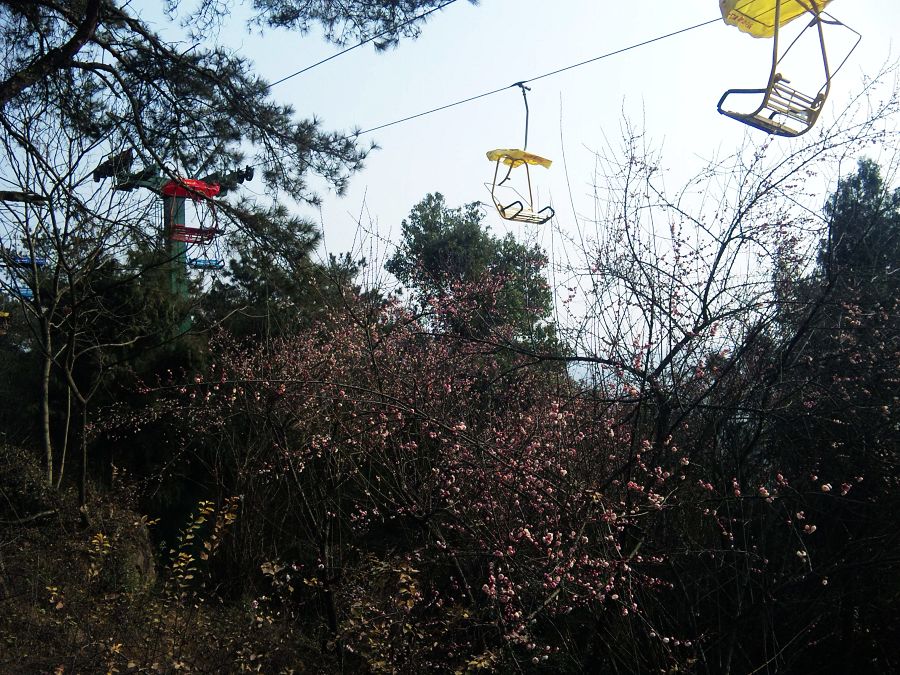 neo_img_dvc00025.jpg