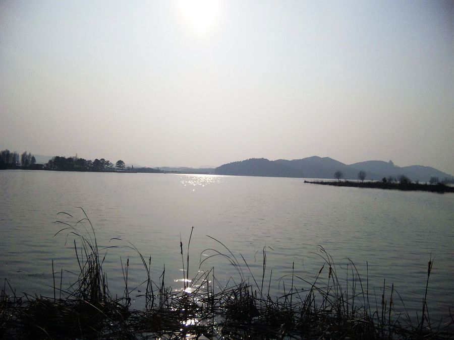 neo_img_dvc00033.jpg