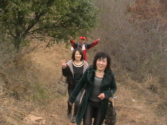 imga0190.jpg