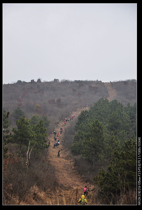 dsc_0028.jpg