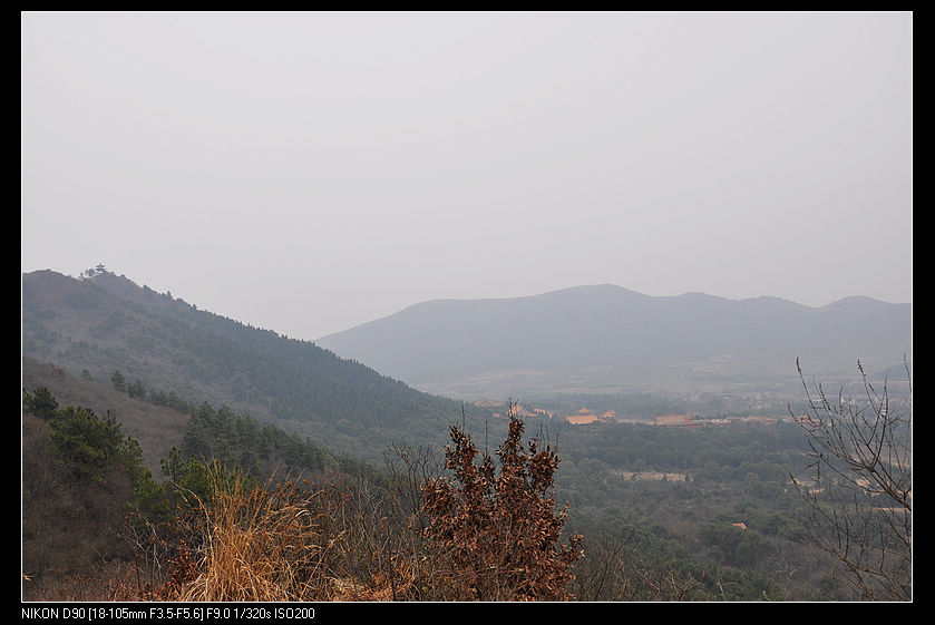 dsc_0030.jpg