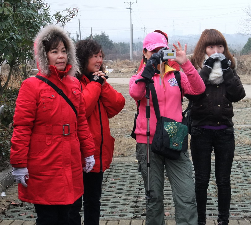 dscf9145.jpg