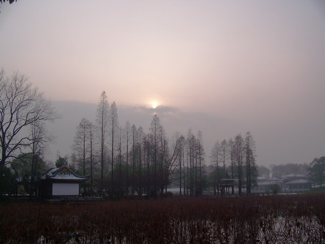 100_7872.jpg