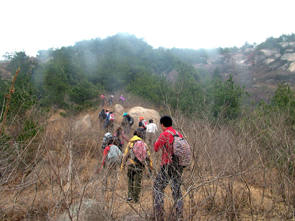 dscf2339.jpg