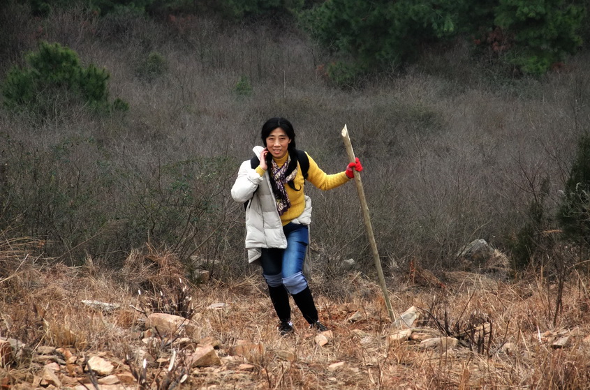 dscf9175.jpg