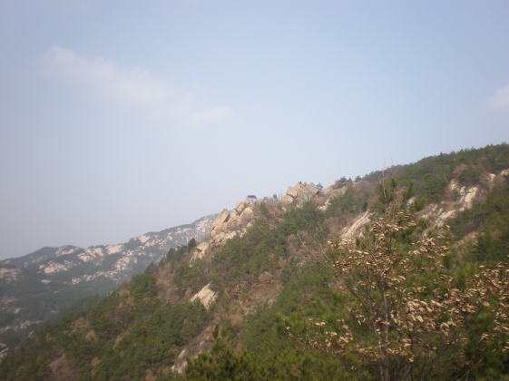 20110213_88.jpg