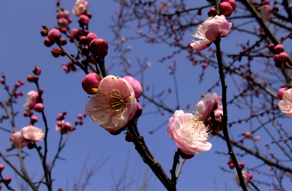 dscf9243.jpg