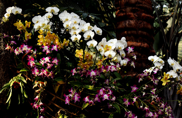 dsc_5056a.jpg
