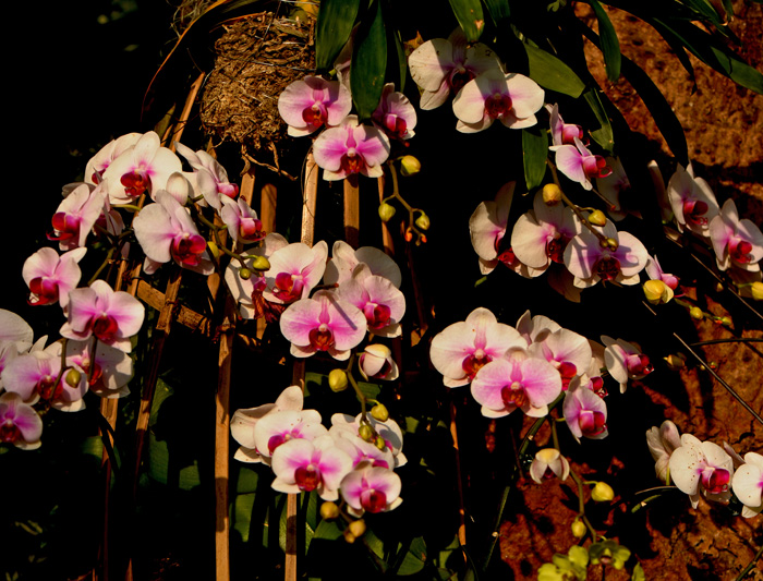 dsc_5057a.jpg
