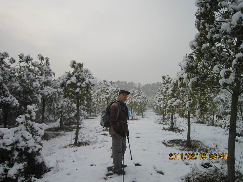 ŷ 065.jpg