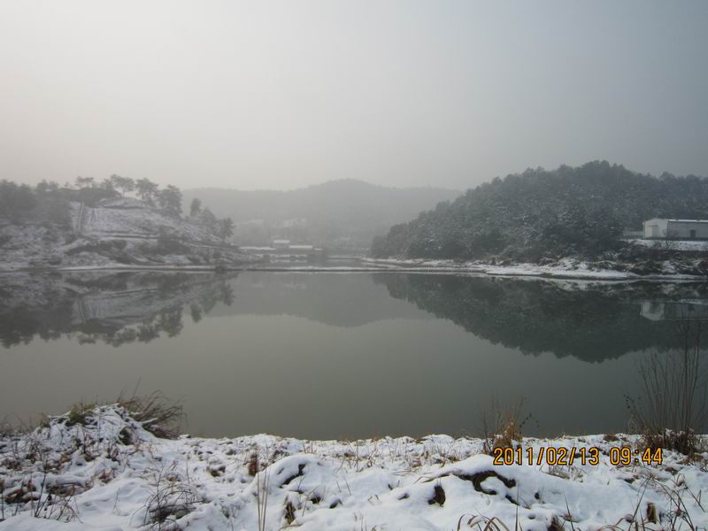 ŷ 098.jpg