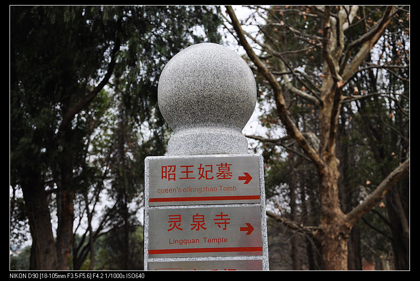 dsc_0108.jpg