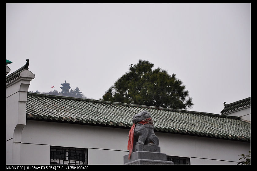 dsc_0110.jpg