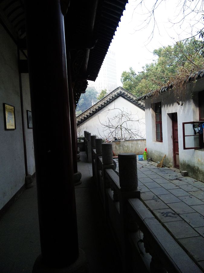 neo_img_dsc01875.jpg