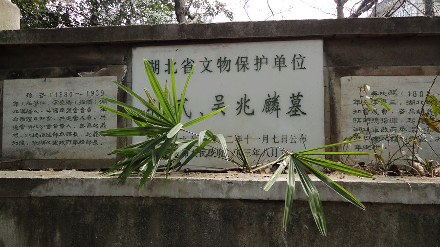neo_img_dsc01900.jpg