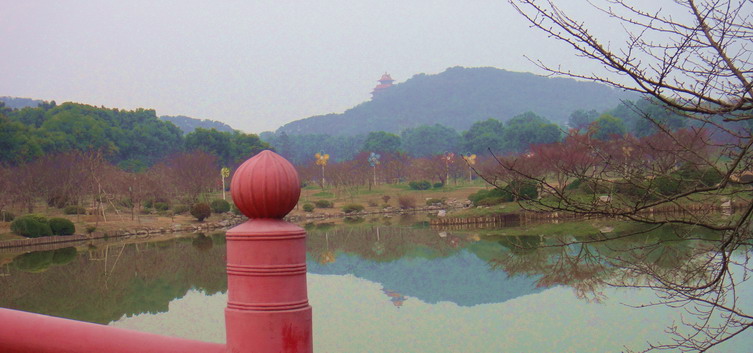 dsc02934.jpg