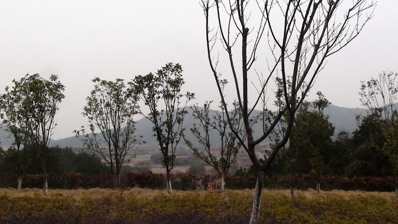 dsc08139.jpg