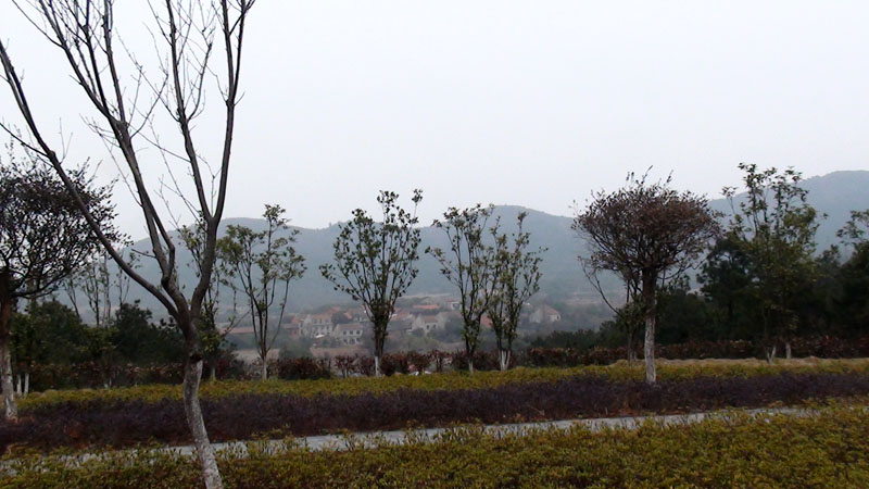 dsc08140.jpg
