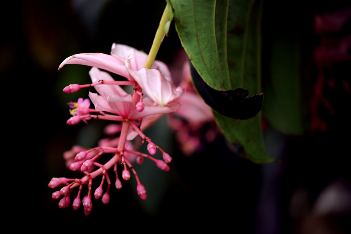 dsc_5093a.jpg
