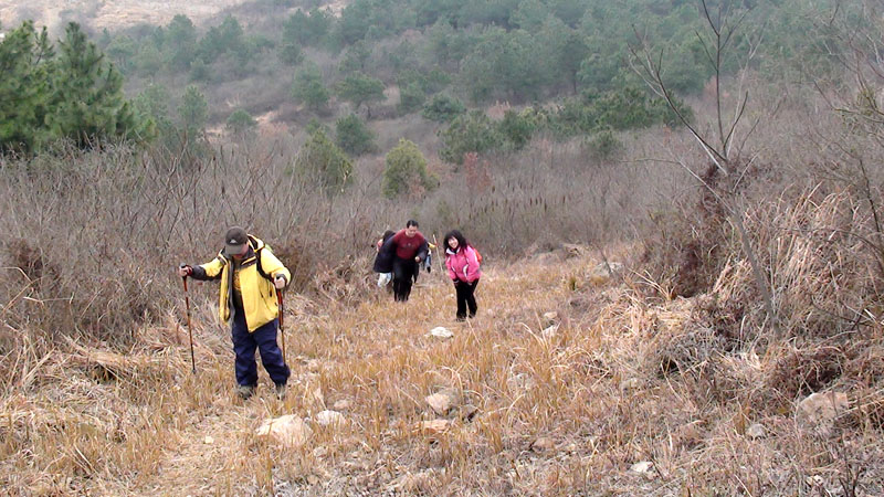 dsc08034.jpg